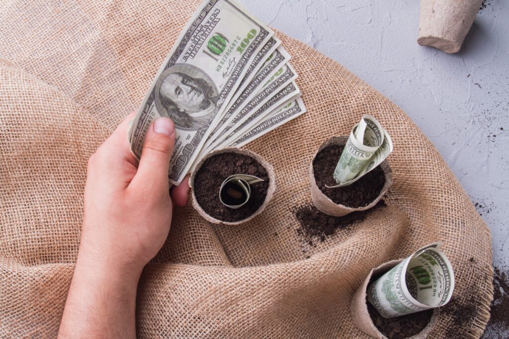 Currency investing concept.
