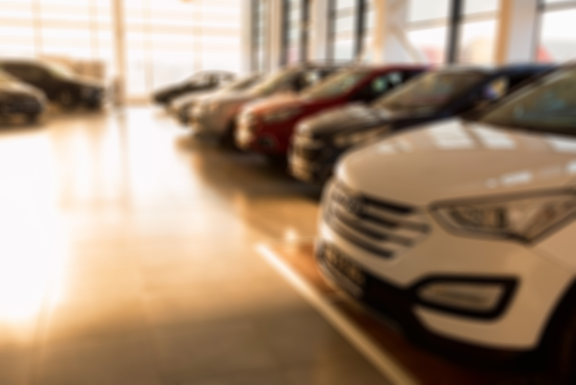 New cars at sunlit dealer showroom close view
